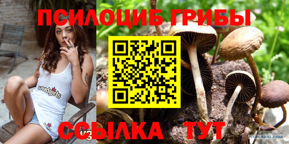 Псилоцибиновые грибы прущие грибы Магнитогорск