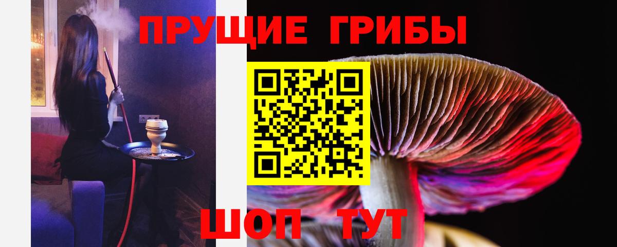 Галлюциногенные грибы GOLDEN TEACHER  купить закладку  Магнитогорск  Вход с VPN 