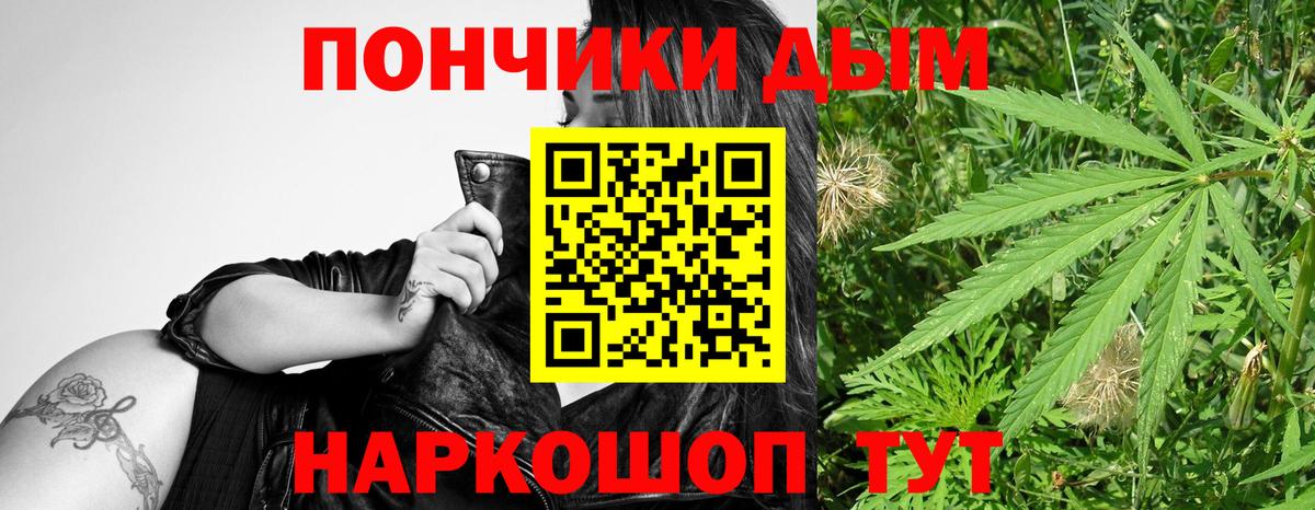 Магнитогорск  Бошки марихуана план  Вход с VPN  Конопля тримм  Марихуана Amnesia 